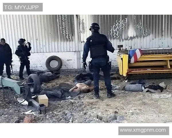 毒贩枪杀足球明星引发社会震动警方全力追捕背后真相逐渐浮出水面